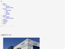 Tablet Screenshot of c2gaming.com